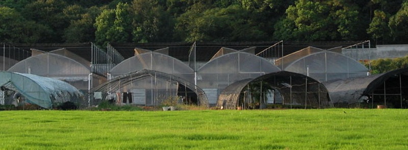 华中农业大学实习基地