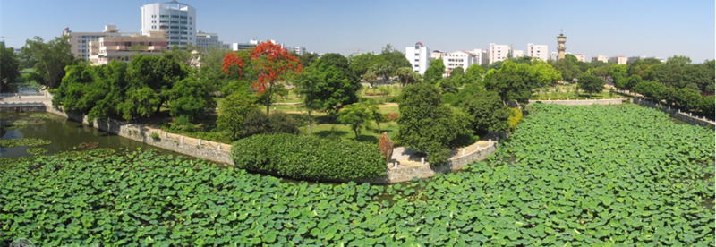 广西大学校景