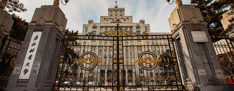 东北林业大学正门 东北林业大学正门