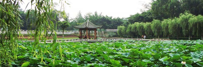 西南交通大学校景 西南交通大学校景