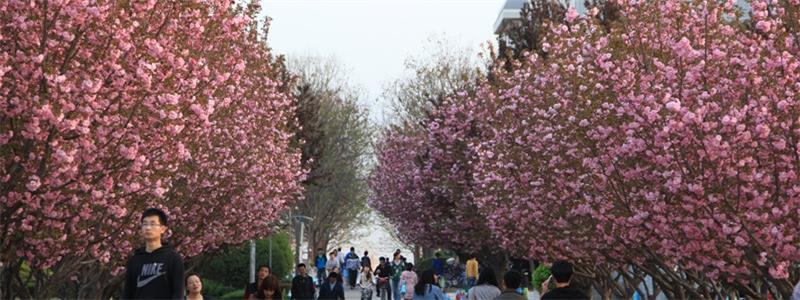 西北农林科技大学校景 西北农林科技大学校景