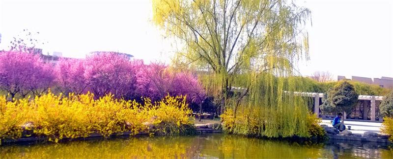 西北农林科技大学校园 西北农林科技大学校园